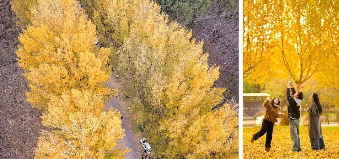 西广播电视报》2025年第46期PG电子麻将胡了2电子版 《山(图13) 西广播电视报》2025年第46期PG电子麻将胡了2电子版 《山(图13)